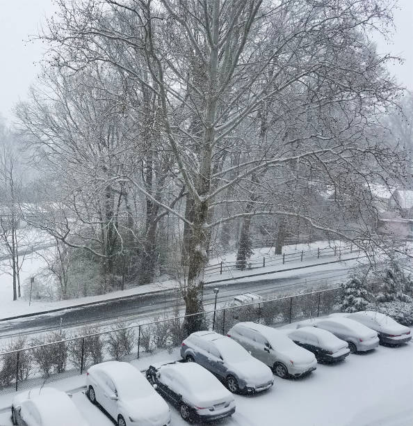 istock Cars covered in snow during a snowstorm 1170133926