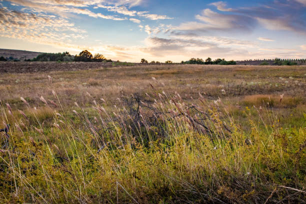 Sunset on the fields in the countryside in North Macedonia.