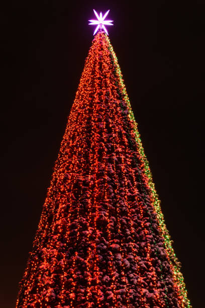 istock Christmas  Tree Covered Snow with Multicolored Lights at Night on black background. 1170136933