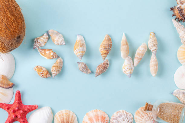 istock The word sun written in shells on blue background 1170137531