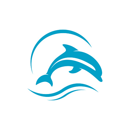 waves and jumping dolphin logo design vector illustrations