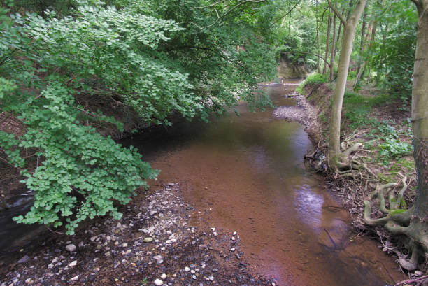istock Voer (creek) at Moulingen (Begium) 1170140102