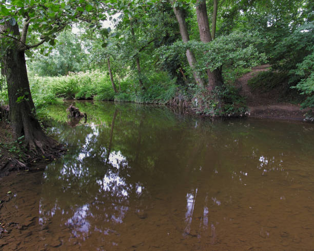 istock Voer (creek) at Moulingen (Begium) 1170140126