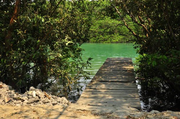 istock A dock leading to green water 1170140935