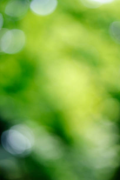 istock Abstract defocused green nature background 1170141898