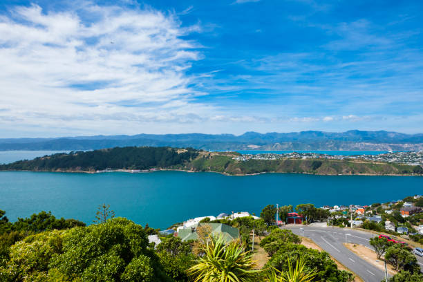 cityscape of evans bay and miramar peninsula in wellington, new zealand - cook strait imagens e fotografias de stock