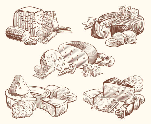 skizze käse. kunstkompositionen mit käse. leckere brie, feta und parmesan scheiben gourmet vorspeise. doodle skizze vintage vektor-set - mozzarella stock-grafiken, -clipart, -cartoons und -symbole