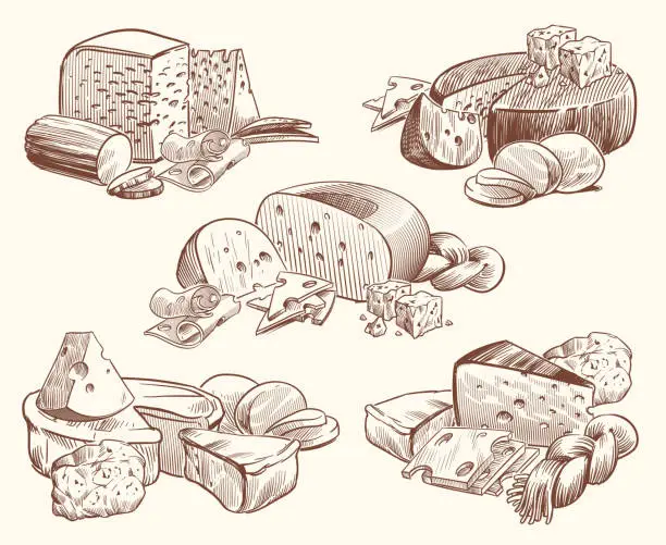 Vector illustration of Sketch cheese. Art compositions with cheeses. Tasty brie, feta and parmesan slices gourmet appetizer. Doodle sketch vintage vector set