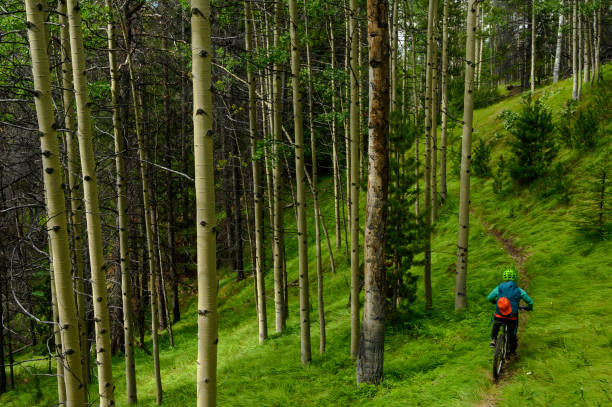 istock Woman cycling in forest during vacation 1170144171