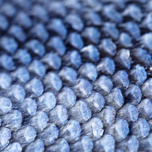 istock Extreme Close-up of Coho Salmon Scale 1170145809