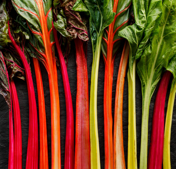 istock Swiss chard in different colors, multi colored  stems on a black background 1170146117