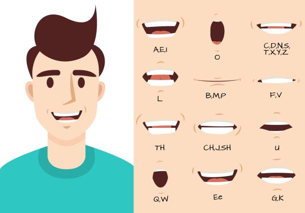 animacja ust. mężczyzna mówi usta usta do animacji postaci z kreskówki i angielskiej wymowy. zestaw wektora wyrażenia mowy synchronizacji - tooth character stock illustrations