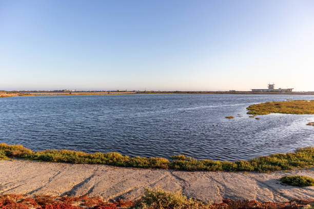 istock Bolsa Chica wetlands and Ecological Reserve 1170146770