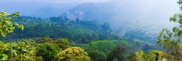 istock Panoramic of Tea Plantations at Munnar in Kerala, India 1170147046