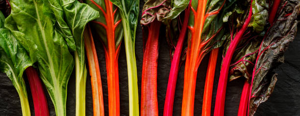 swiss chard in different colors, multi colored  stems on a black background - heathy food imagens e fotografias de stock