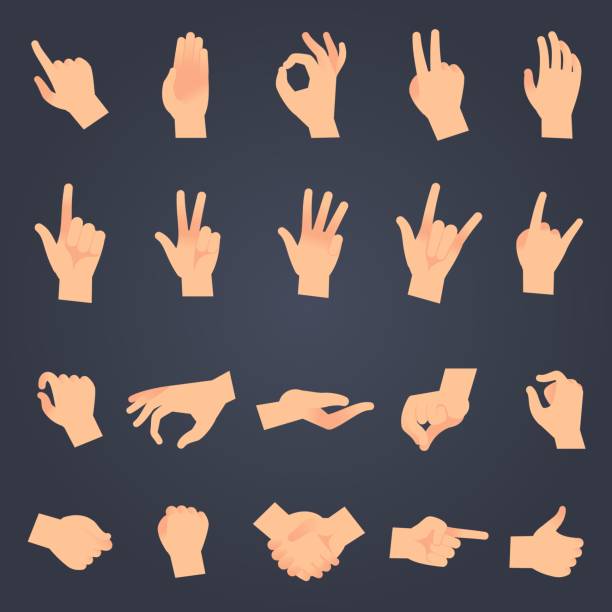 Hand position set. female or male hands holding gesture opening somethin and touching pose vector isolated objects Hand position set. female or male hands holding gesture opening somethin and touching pose vector isolated showing different sign symbol objects hand sign illustrations stock illustrations