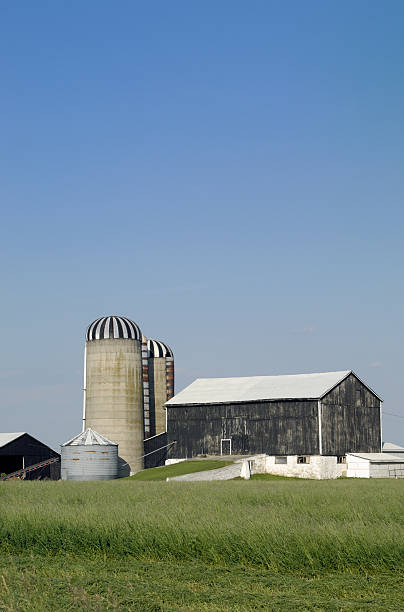 istock Barn and hayfield in afternoon light 117015219