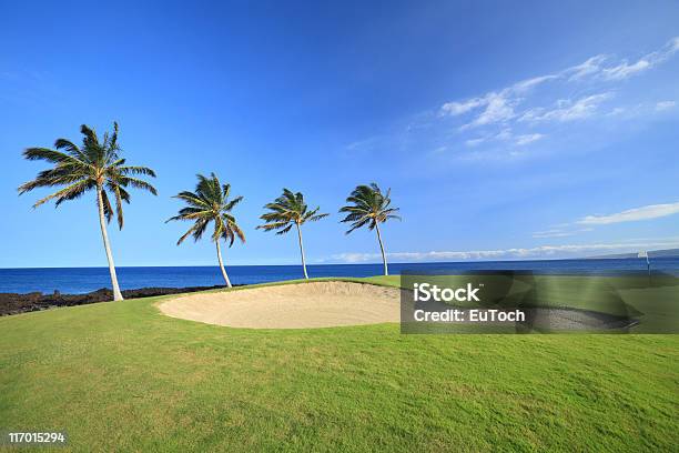 Hawaii Golf Course Stock Photo - Download Image Now - Golf Course, Big Island - Hawaii Islands, Beach