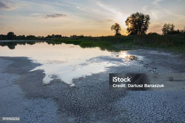 Drying Water Reservoir Summer In Poland Stock Photo - Download Image Now - Drought, Drying, River