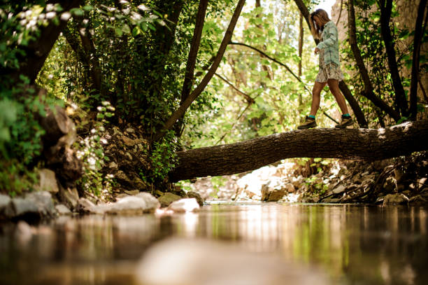 istock Young girl in light dress on fallen tree 1170153238