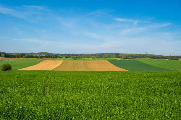 istock Field agriculture freshly sown landscape 1170153251