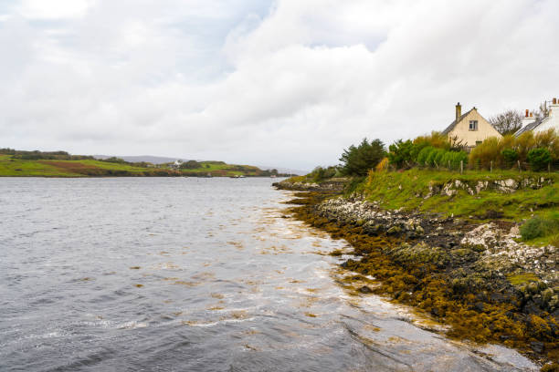 istock Scenic Autumn Shoreline 1170154713