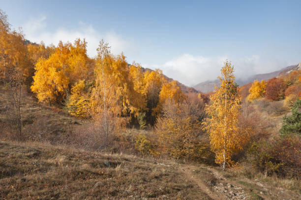 istock Beatyful natural lanscape background with tree and mount 1170155153