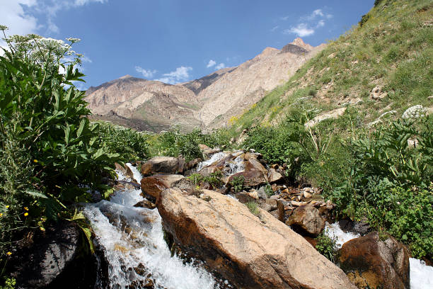 Water running in mountain - Erburz mountains