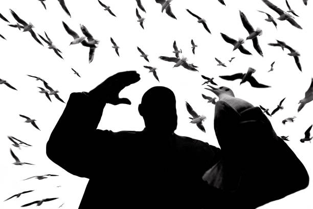 Black and white photo of birds and silhouette of a person. A man holding one of the white birds. Other birds are flying around. One unrecognizable man is seen in the frame. The main light source is daylight. Low angle view. Feeding the birds. Shoot in outdoor.