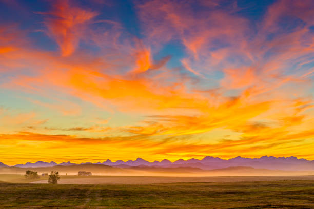 campo de alberta canadá - precordillera fotografías e imágenes de stock