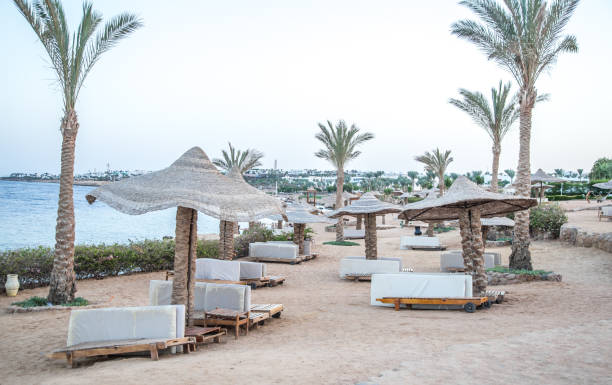 istock Empty beautiful beach with umbrellas and sunbeds in Egypt . 1170167807