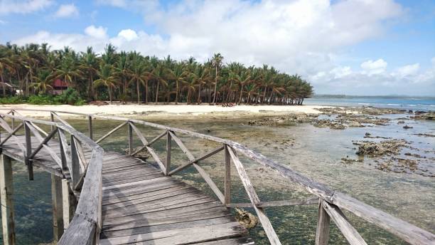 istock Tropical coastline view on a beach and palm trees from a pier in the Philippines 1170167846