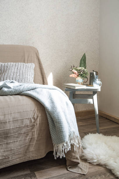istock Home sofa with objects of cozy decor in the living room 1170167963