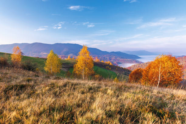 istock beautiful autumn rural landscape at sunrise 1170168041