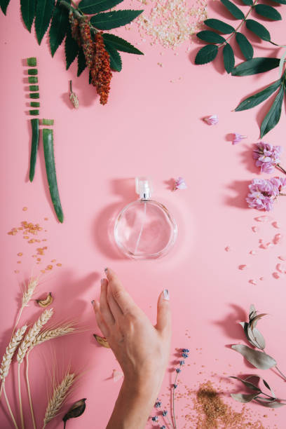 istock Transparent perfume bottle in flowers on pink background with woman's hand. Spring background with aroma parfume. Flat lay 1170168603