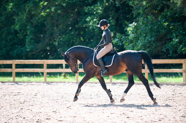 istock Young lady riding a horse at equestrian school. Training process 1170168856