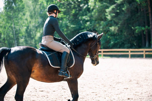 istock Young lady riding a horse at equestrian school. Training process 1170168921