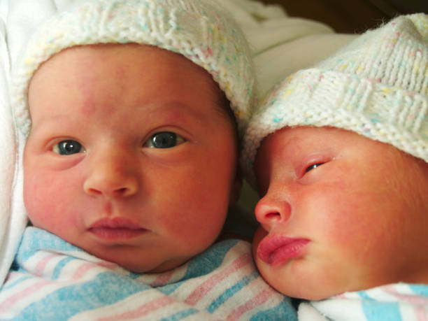 i letti singoli - twin newborn baby baby girls foto e immagini stock