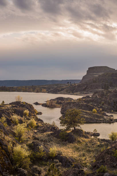 istock Setting Sun Illuminates Spring Blooms and Pine Trees Along Rugged Canyon Cliffs Around Banks Lake. 1170172582