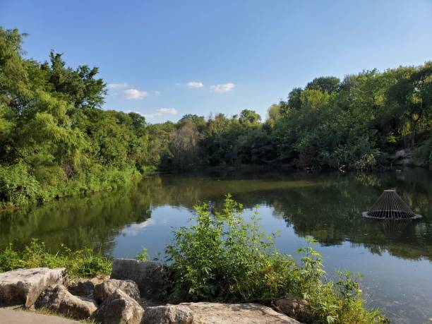 istock Lake in Plano Park 1170174740