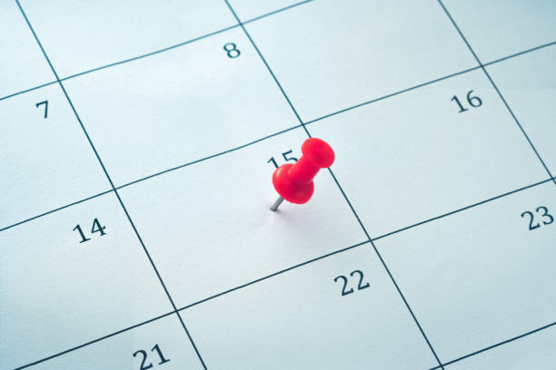 istock Embroidered red pins on a calendar on the 15th 1170176600