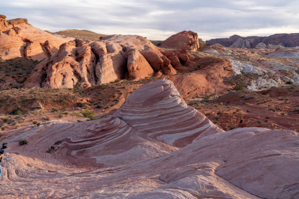 istock Red rocks in valley of fire national park 1170177836