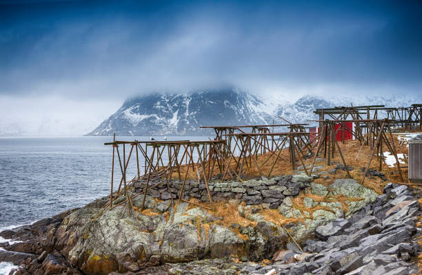 drewniane konstrukcje kłód do suszenia dorsza ułożone wzdłuż brzegu morza w hamnoy fishing village w noway.horizontal image - noway zdjęcia i obrazy z banku zdjęć