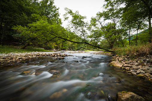 Mountain river streams in springtime or summertime. Shoot by day, overcast with Nikon D750.