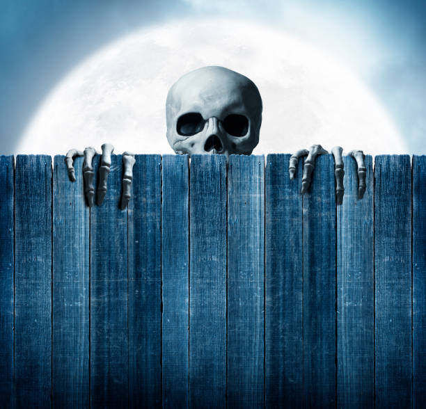 istock Skeleton Peeking Out From Behind Old Weathered Fence 1170180866