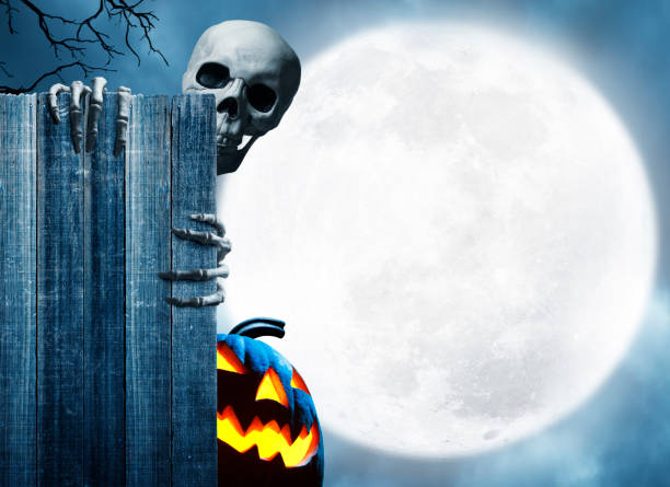 istock Skeleton And Jack O'Lantern Peeking Out From Behind Old Weathered Fence 1170180887