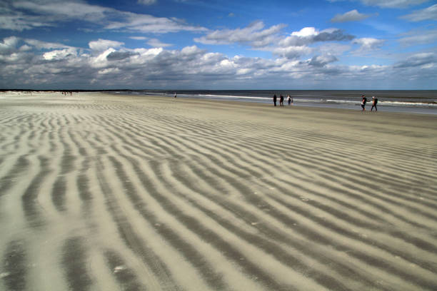 costa nazionale dell'isola di cumberland - cumberland island georgia island history foto e immagini stock