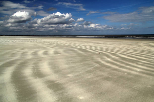 costa nazionale di cumberland island - cumberland island georgia island history foto e immagini stock