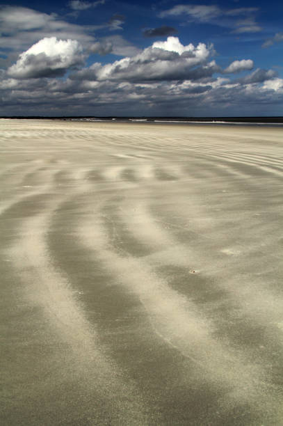 costa nazionale di cumberland island - cumberland island georgia island history foto e immagini stock