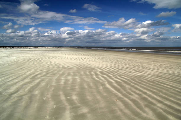 costa nazionale dell'isola di cumberland - cumberland island foto e immagini stock